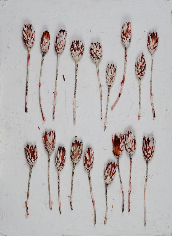 Blumenbild von Herbert Zangs